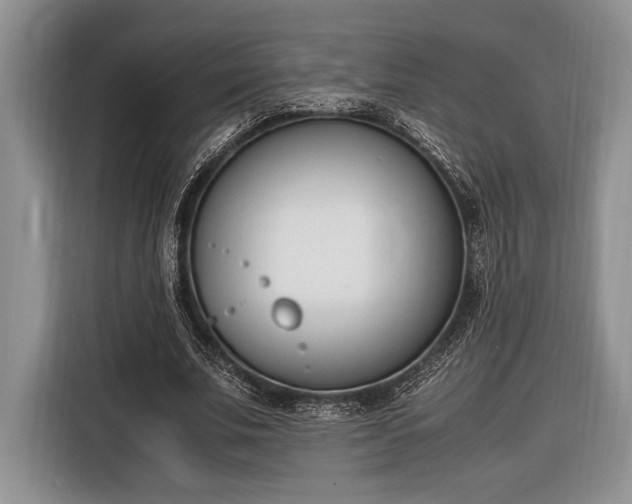 X0000116330679200912091040