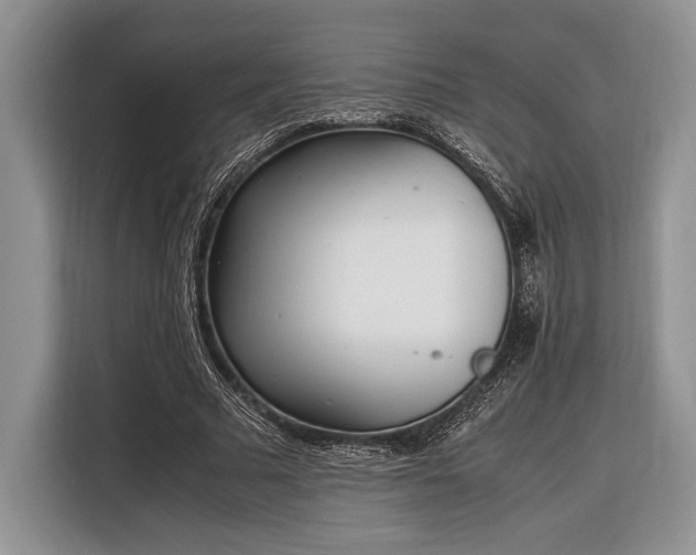 X0000116330681200912091040