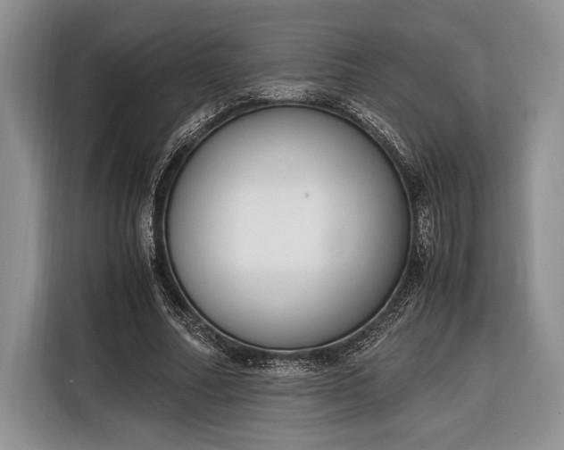 X0000116330682200912091040