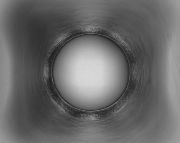X0000116330683200912091040