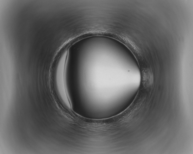 X0000116330684200912091039
