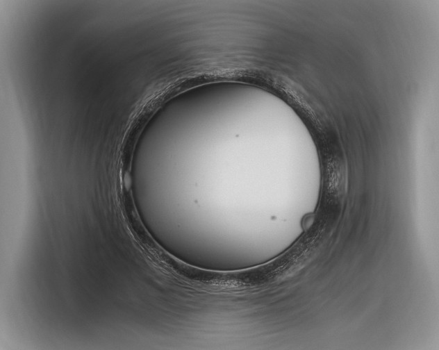 X0000116330685200912091039