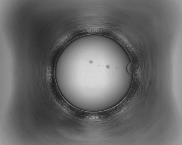 X0000116330687200912091039