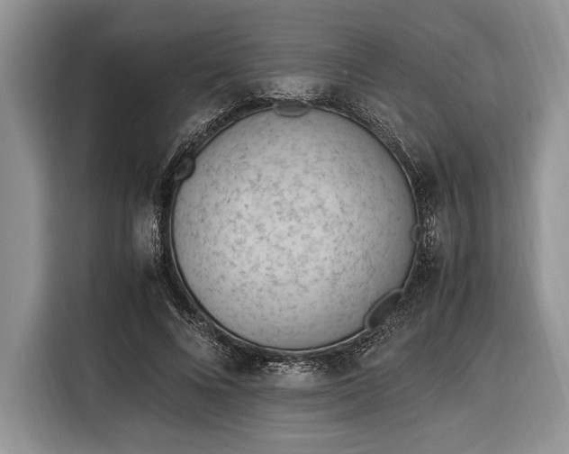 X0000116330688200912091039