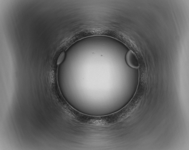 X0000116330689200912091039