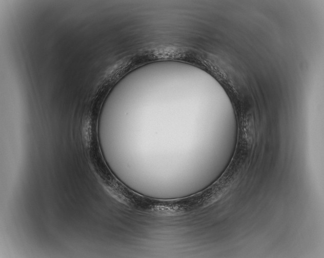 X0000116330690200912091039