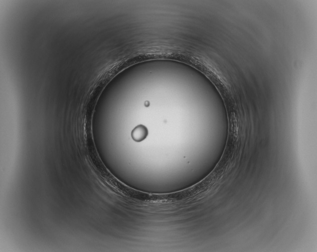 X0000116330692200912091039