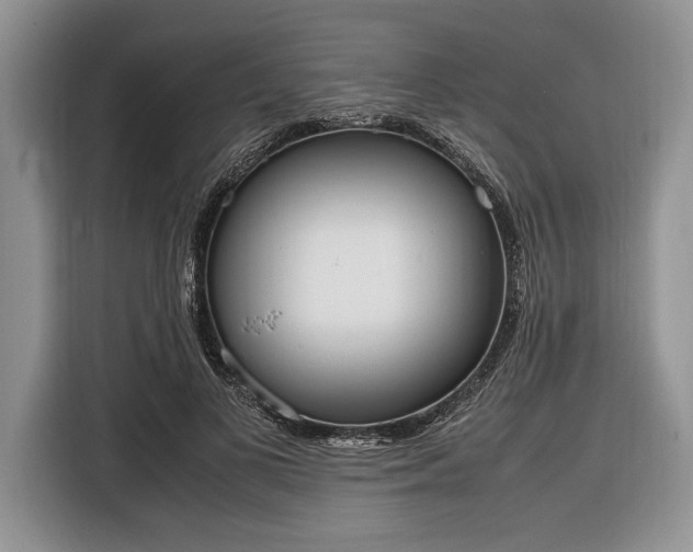 X0000116330693200912091039