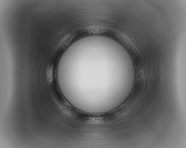 X0000116330694200912091039