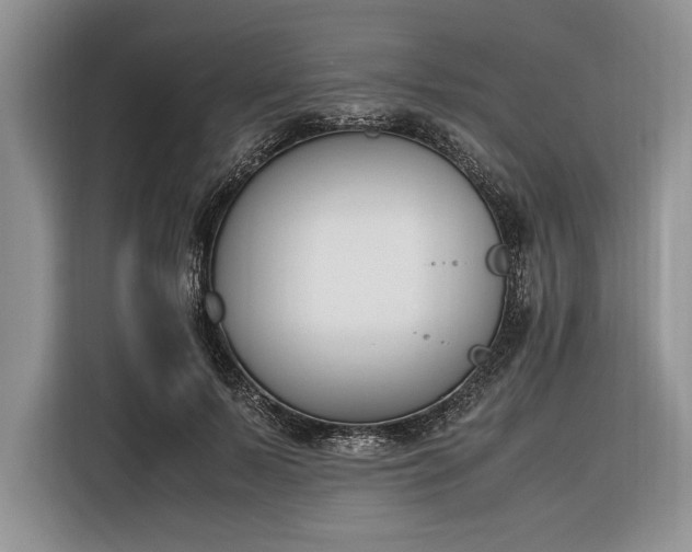 X0000116330695200912091039