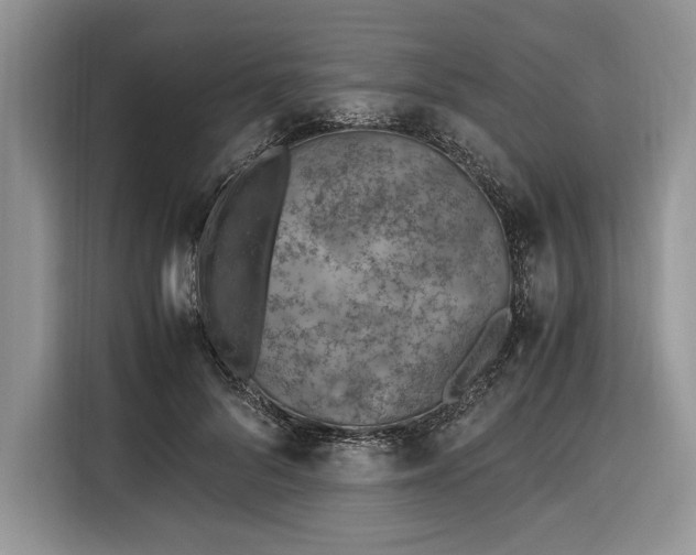 X0000116330696200912091039