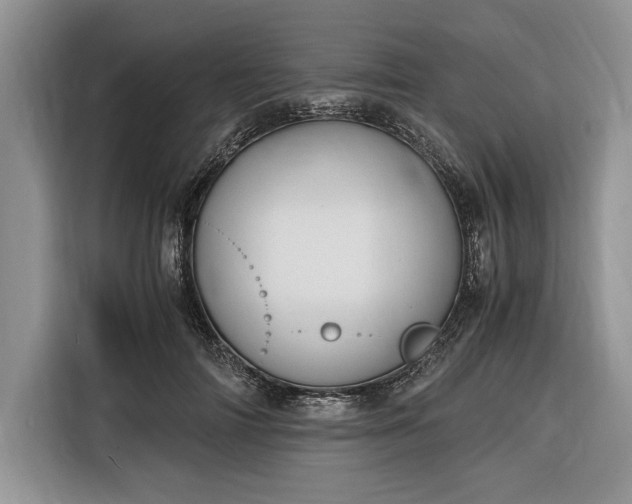X0000116330698200912091039