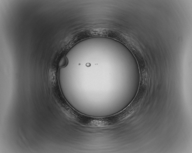 X0000116330699200912091039