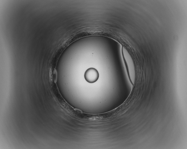 X0000116330700200912091039