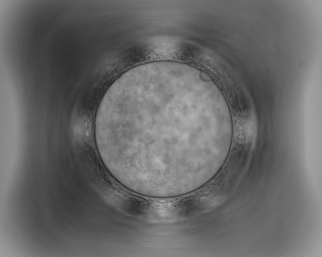 X0000116330701200912091039