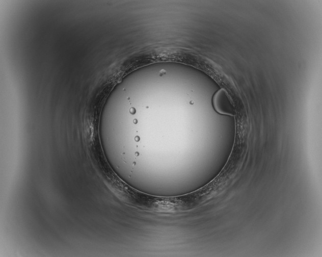 X0000116330703200912091039