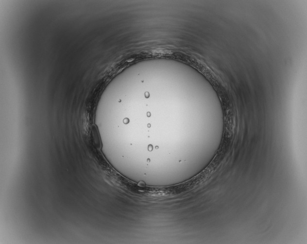 X0000116330704200912091039