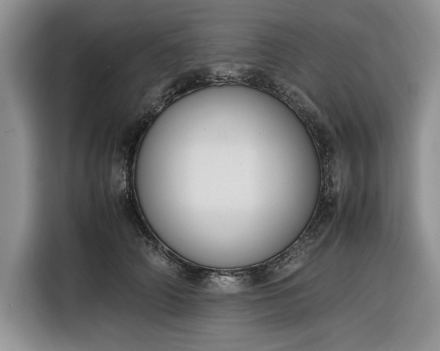 X0000116330706200912091039