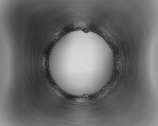 X0000116330708200912091039