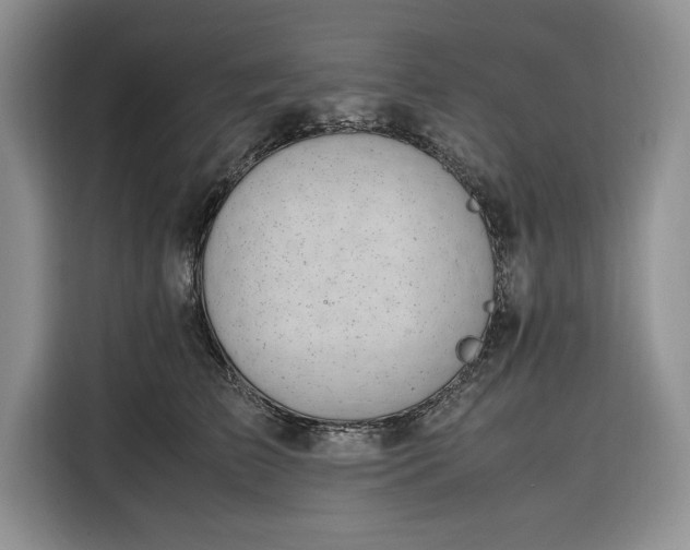 X0000116330709200912091039
