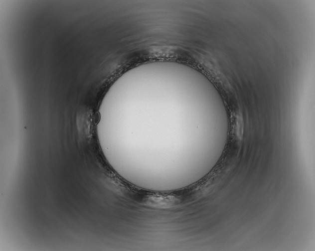 X0000116330712200912091039