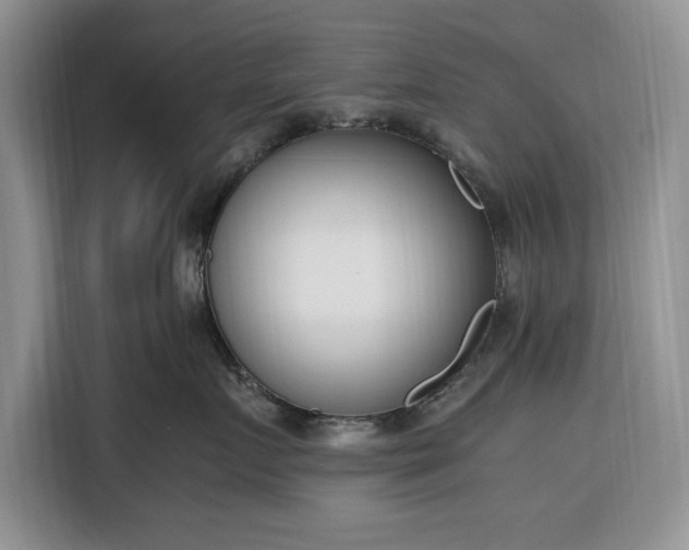 X0000116330719200912091039