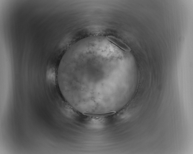 X0000116330720200912091039