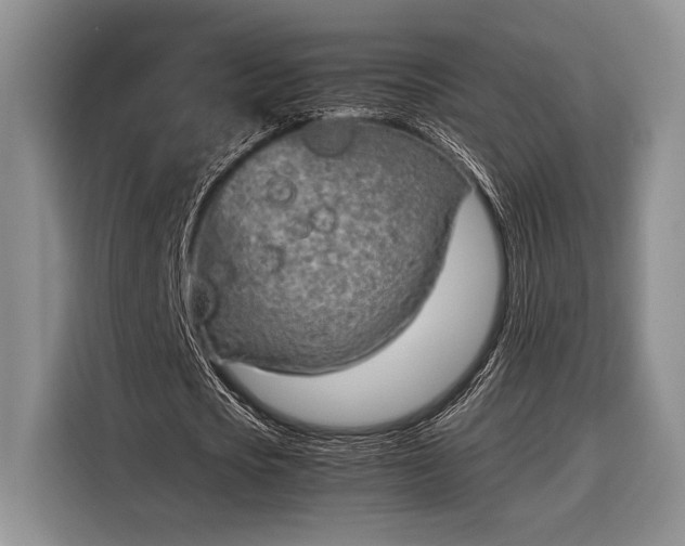 X0000116330721200912091038