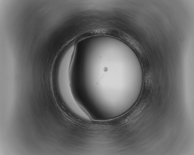 X0000116330722200912091038