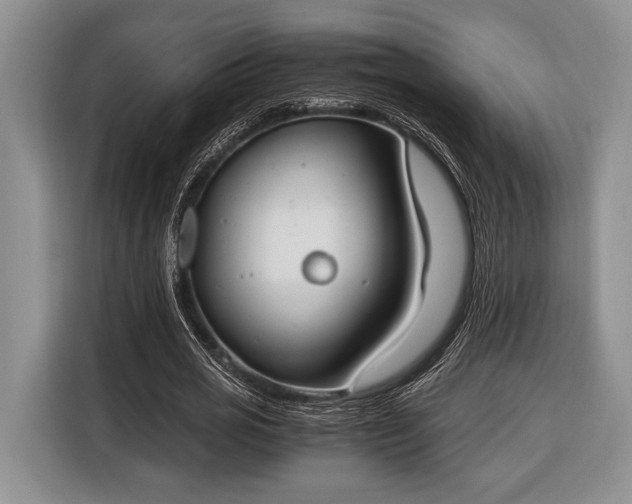 X0000116330725200912091038