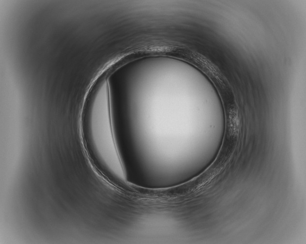 X0000116330726200912091038