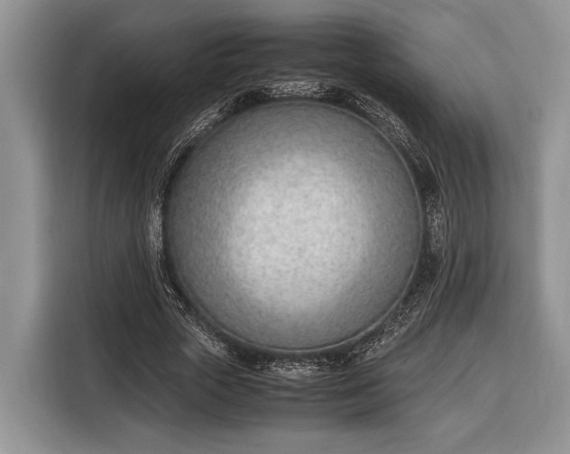 X0000116330729200912091038
