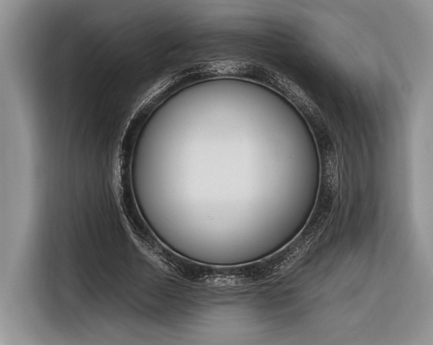 X0000116330730200912091039