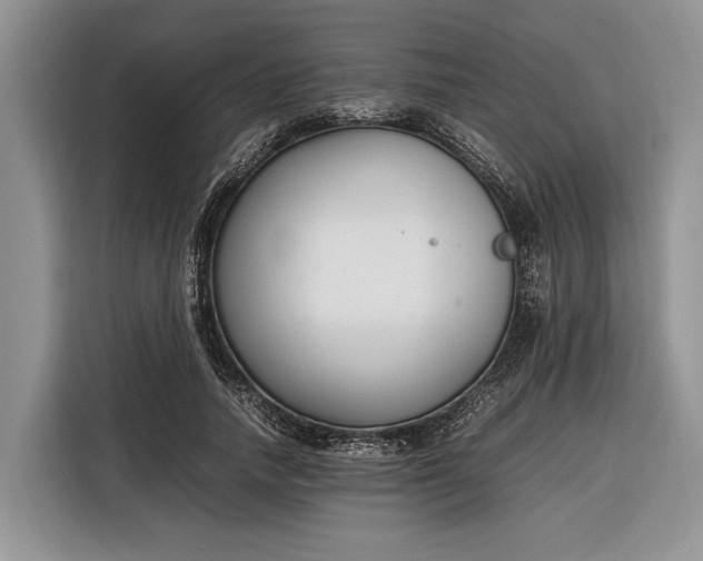 X0000116330738200912091039