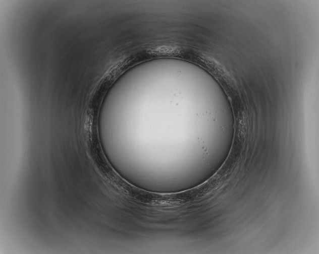 X0000116330739200912091039