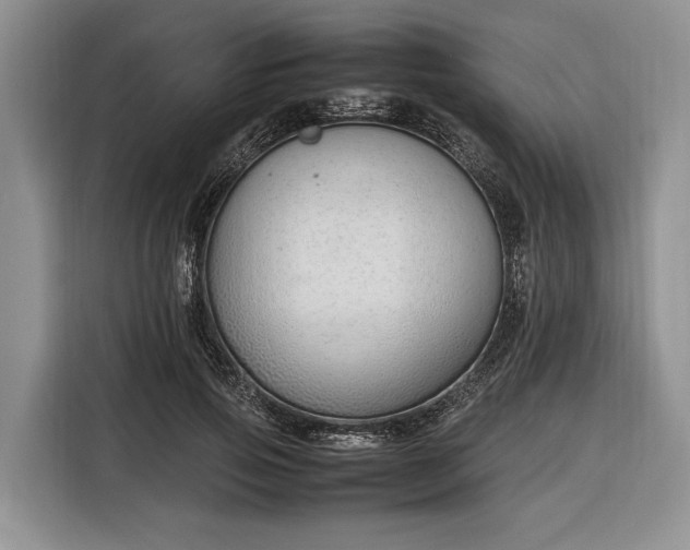 X0000116330741200912091039
