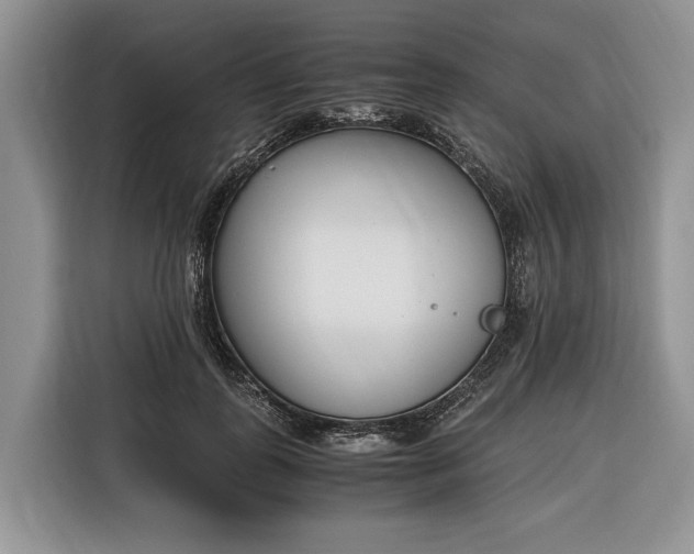 X0000116330747200912091039