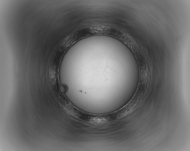 X0000116330749200912091039