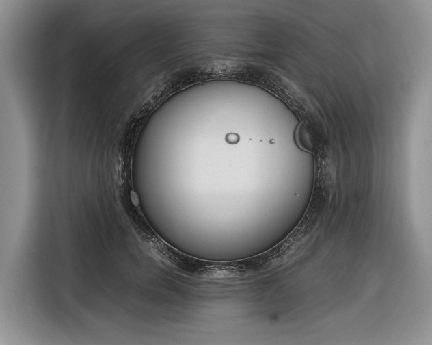 X0000116330750200912091039