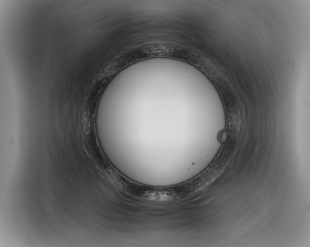 X0000116330751200912091039