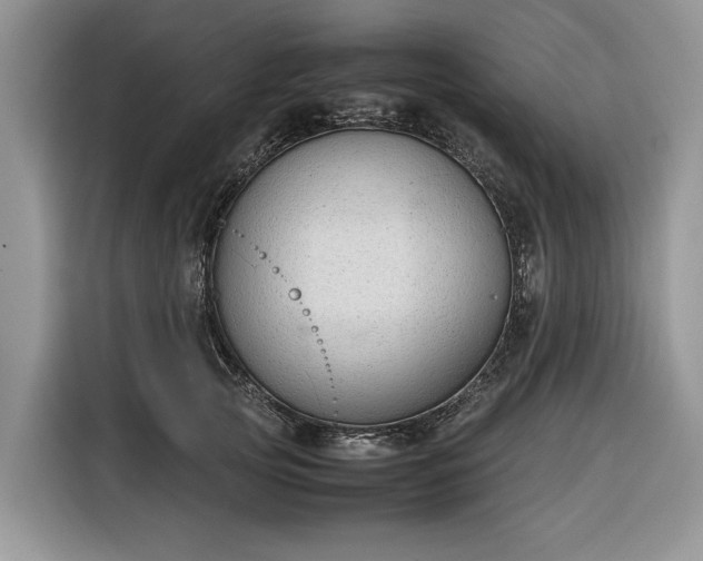X0000116330753200912091039