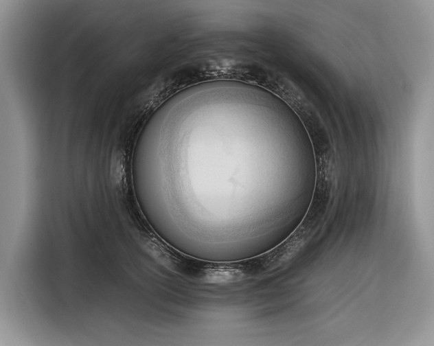 X0000116330754200912091039
