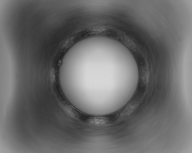 X0000116330758200912091039
