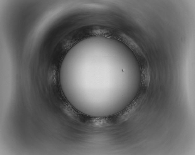 X0000116330762200912091039