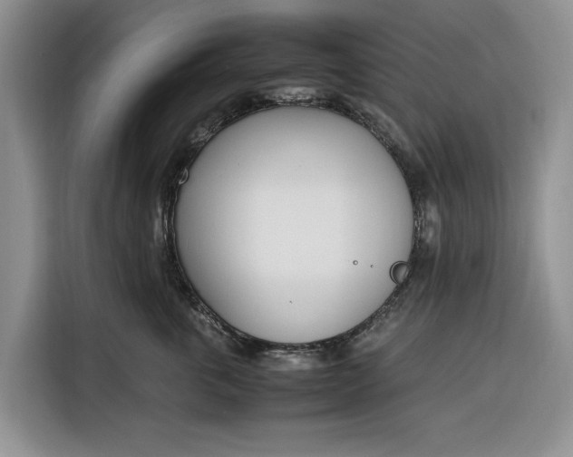 X0000116330763200912091039