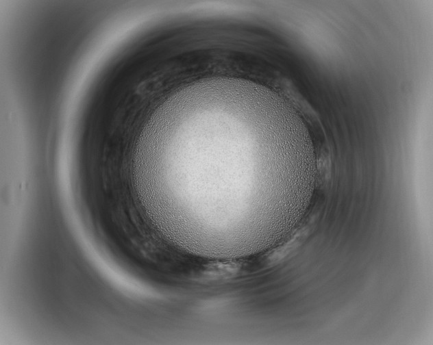 X0000116330765200912091039