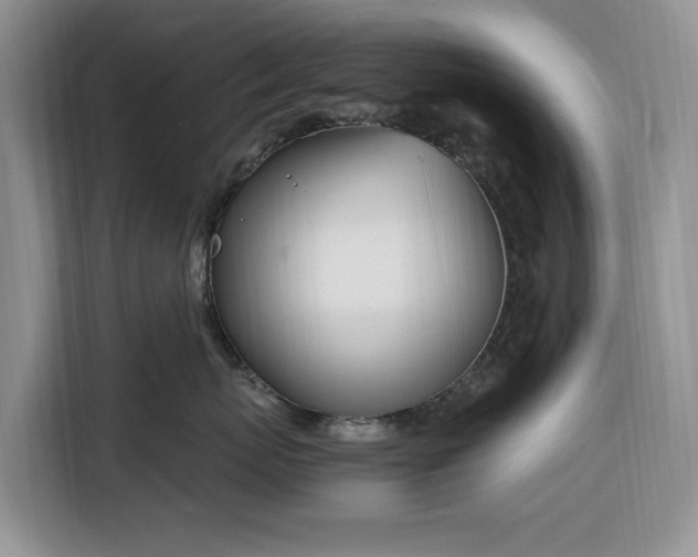 X0000116330767200912091039