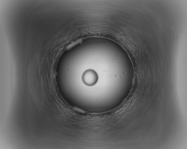 X0000116330769200912091038
