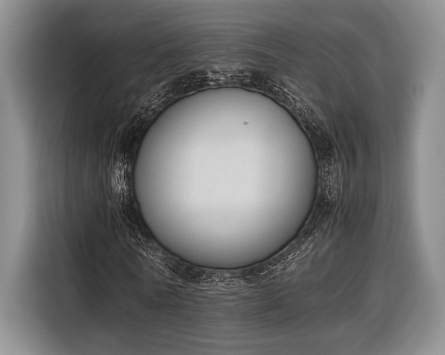 X0000116330770200912091038
