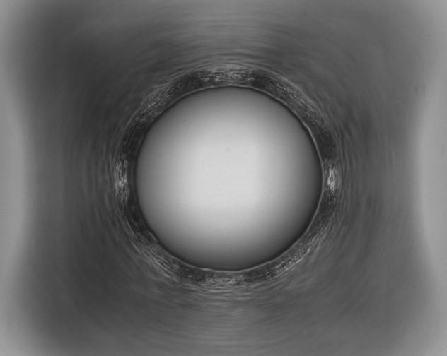 X0000116330771200912091038